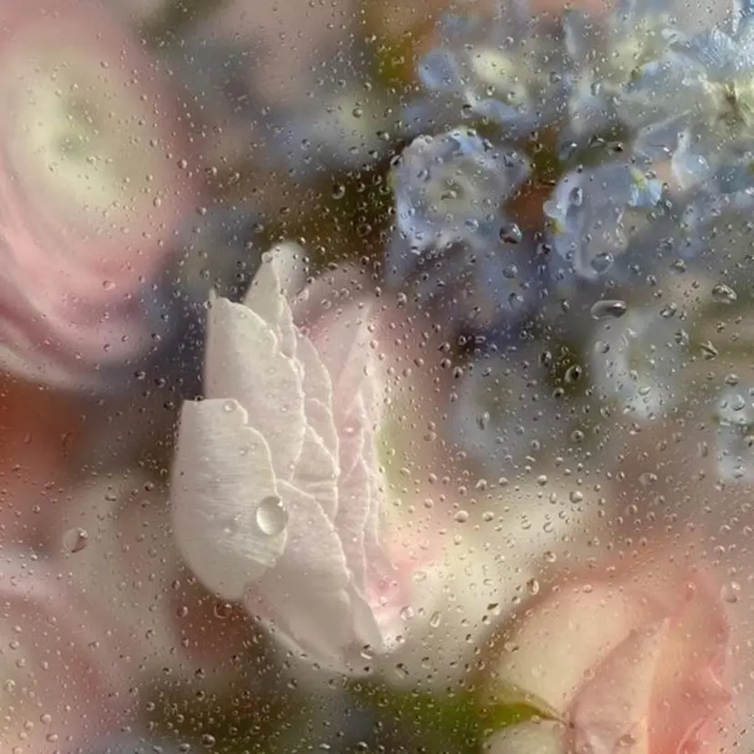 Sugiura Chisatoの掲載