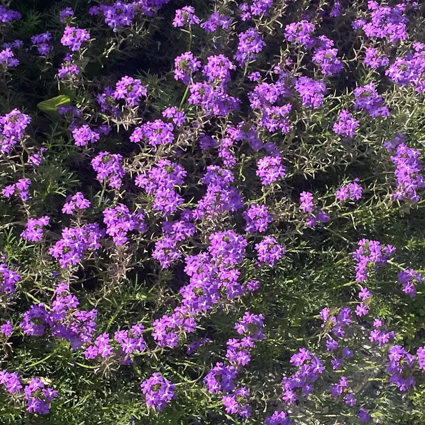 竹脇 美奈の掲載