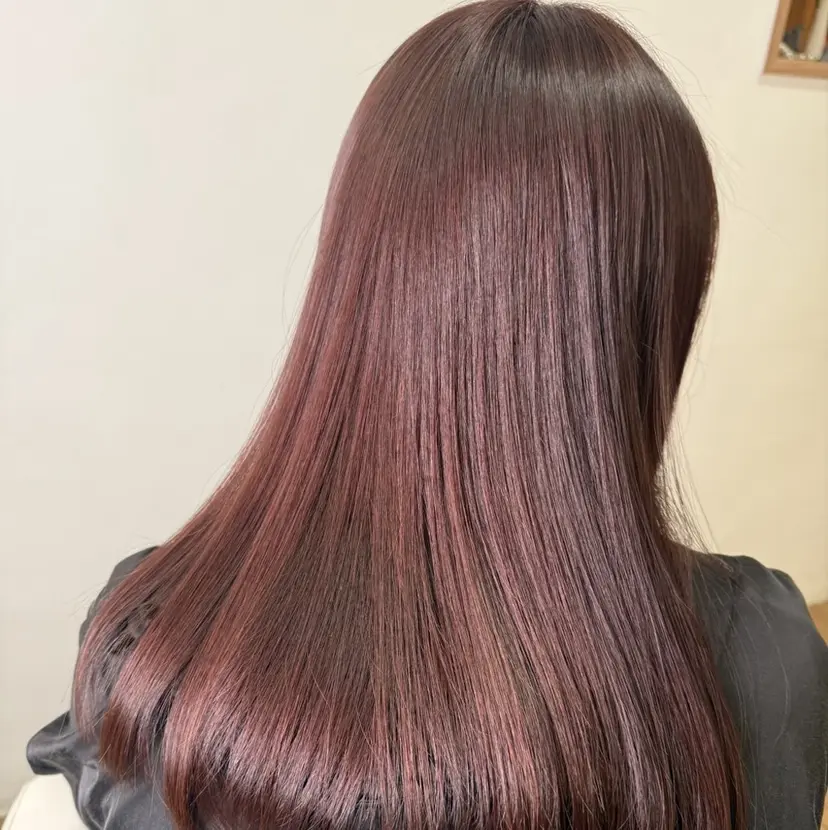 安井 星南の掲載