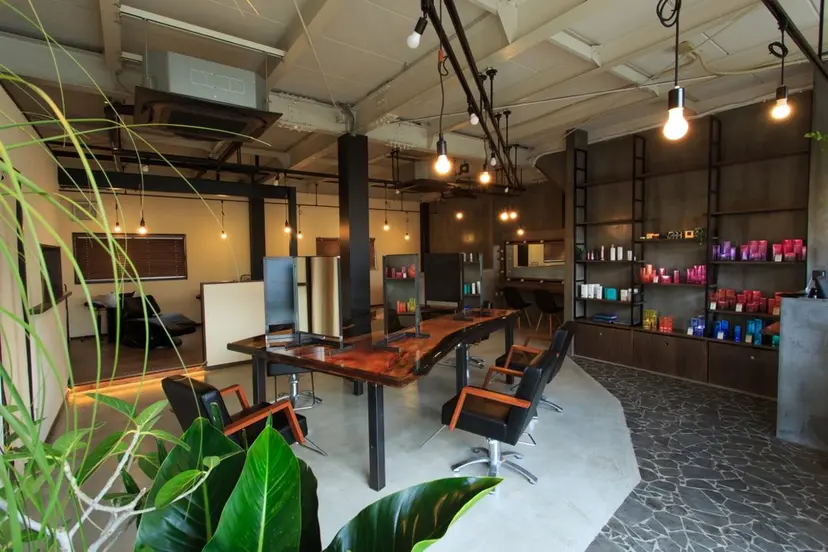 中村 苑未の掲載