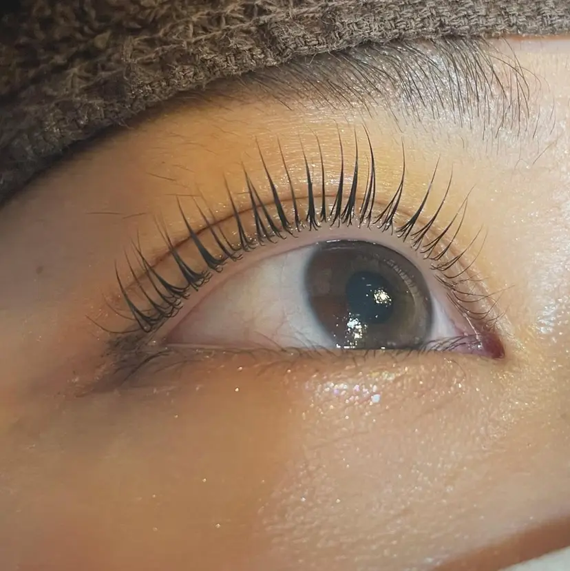 ニコットラッシュ 第2ビル坂根の掲載