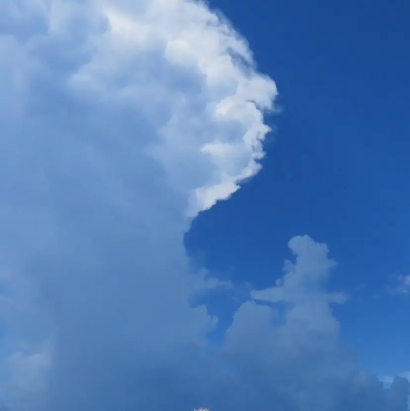 香山 海斗の掲載
