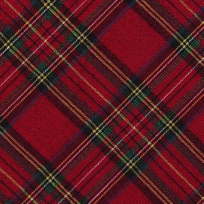 長谷川 澄の掲載