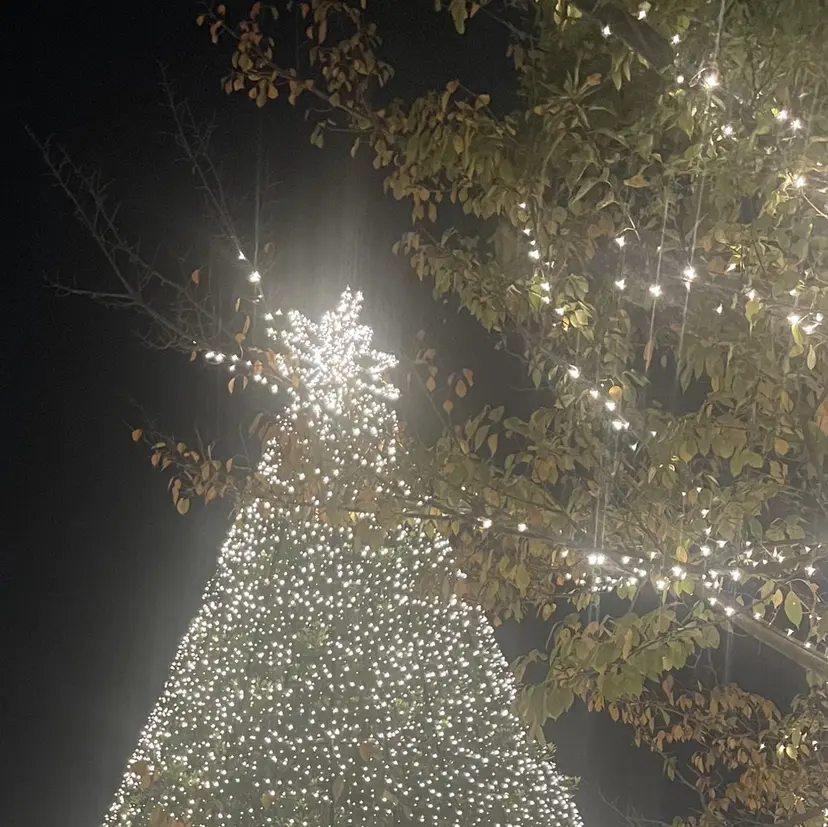 Luxe nihongi🤍の掲載