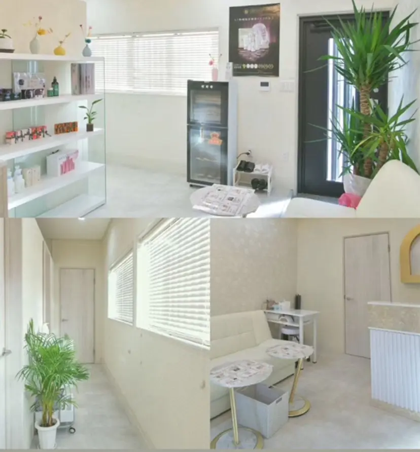 Salon Eminyの掲載