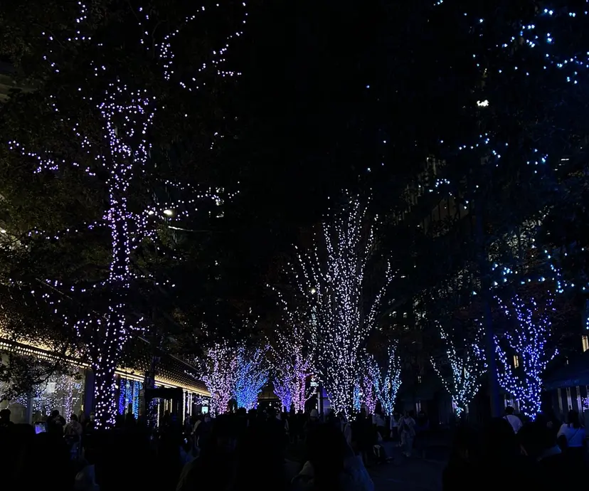 タカムラ ミイユの掲載
