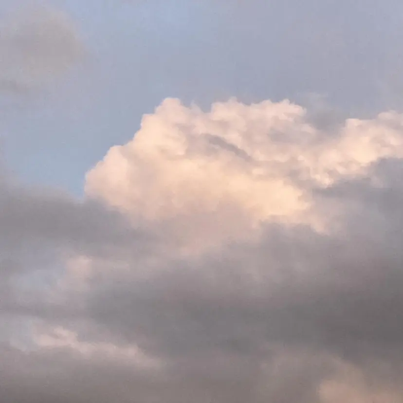 tipsy+ chihiroの掲載