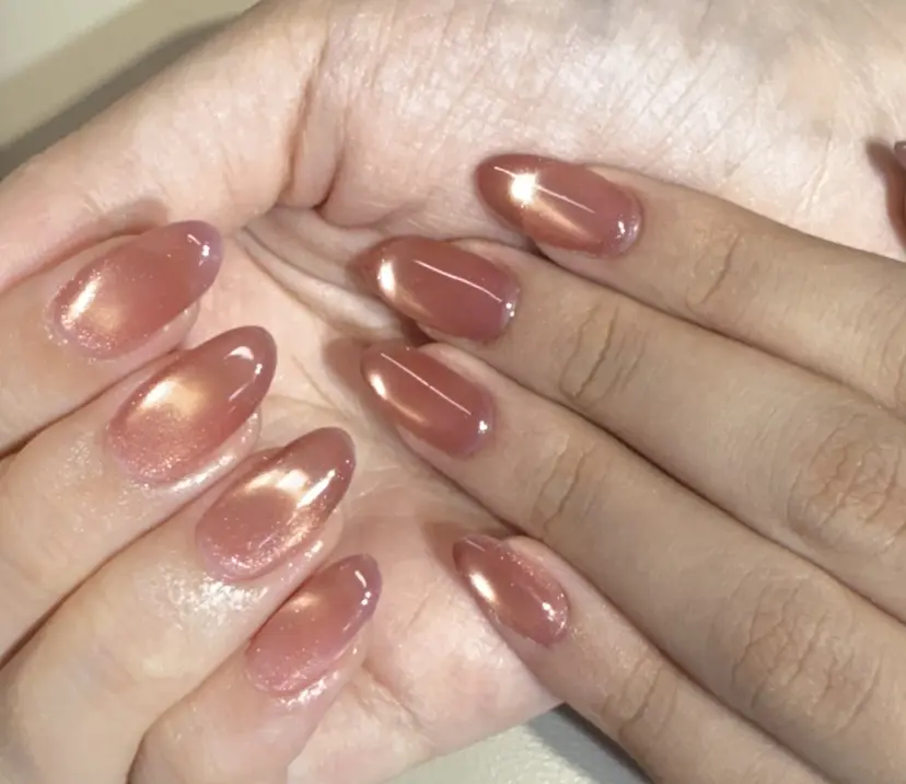 ヤマ モトの掲載