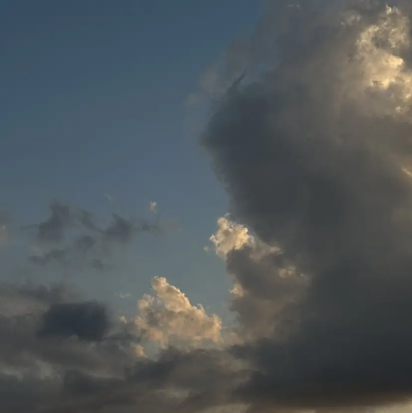 ⭐︎ seira ⭐︎の掲載