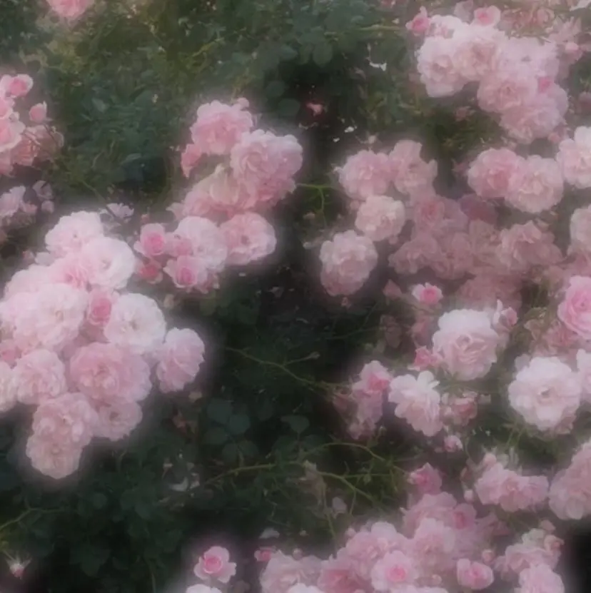 🖤関口 葉月🖤の掲載