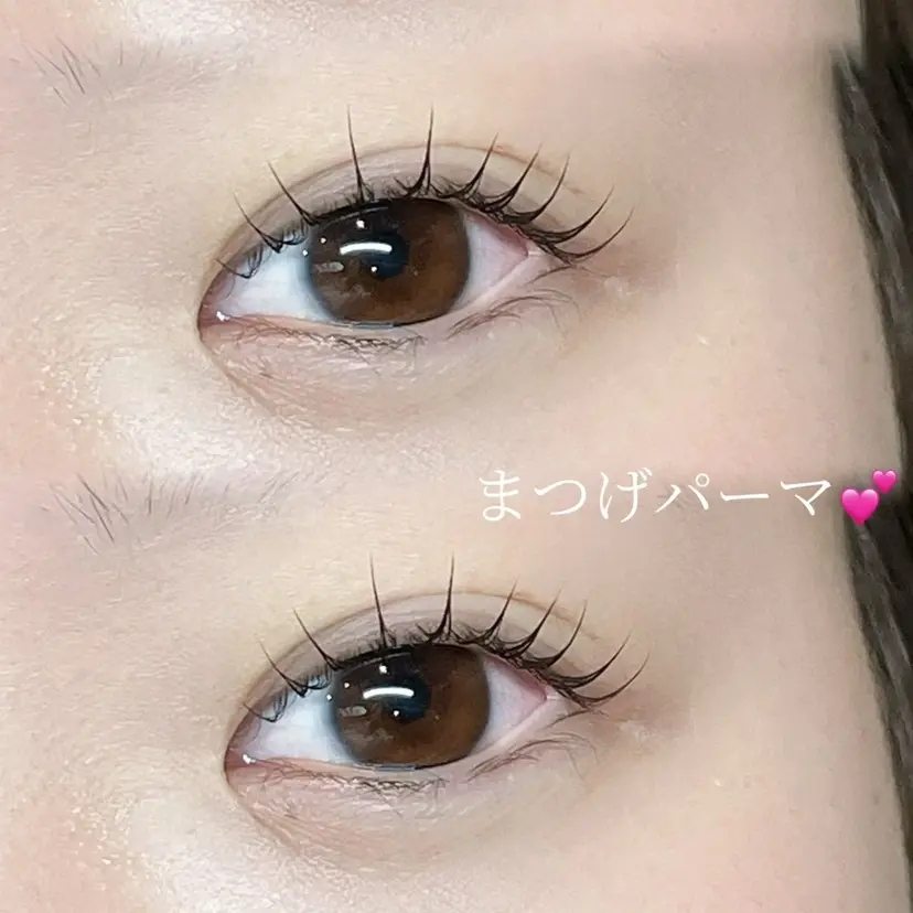 nerine博多 mizuhoの掲載