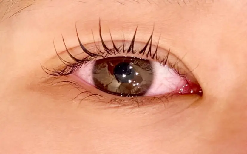 サクラブロウ 宮本の掲載