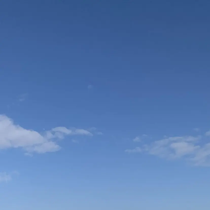 ニコットラッシュ 中島の掲載