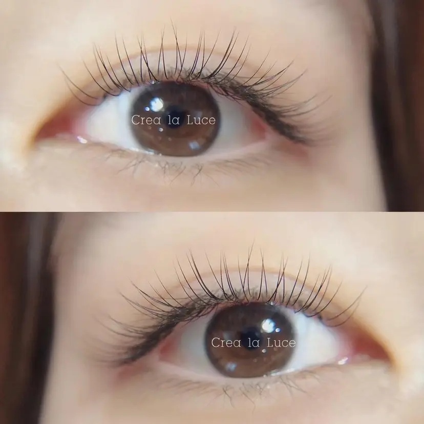 坂本 麻衣の掲載