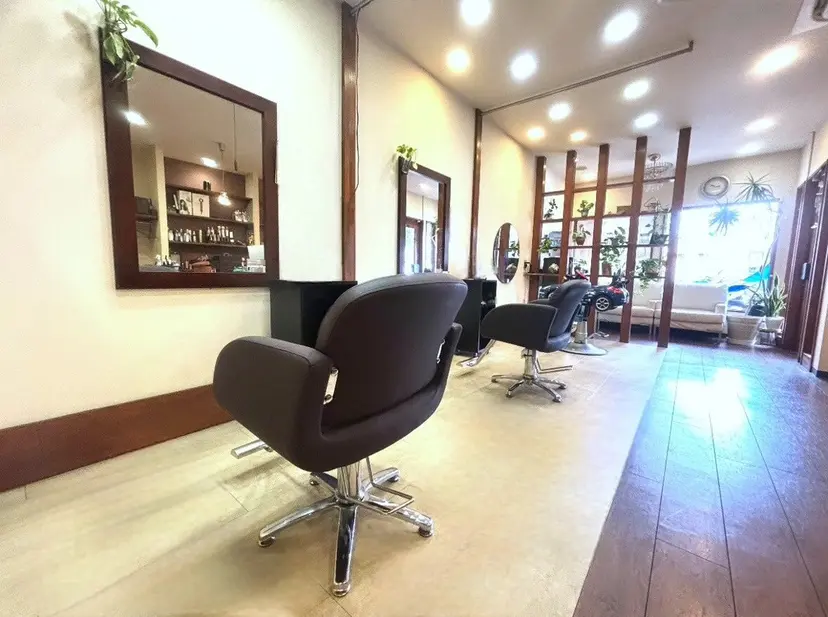 lieto🌿 maiの掲載