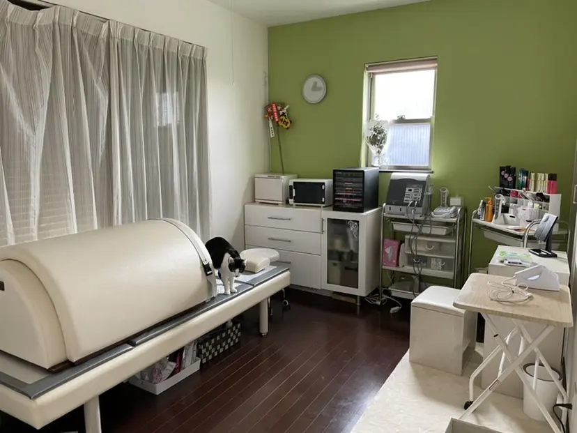 井上 敦子の掲載