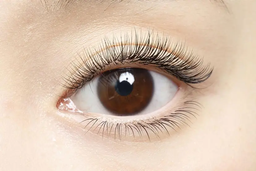 アイブロウワックス モデル募集の掲載