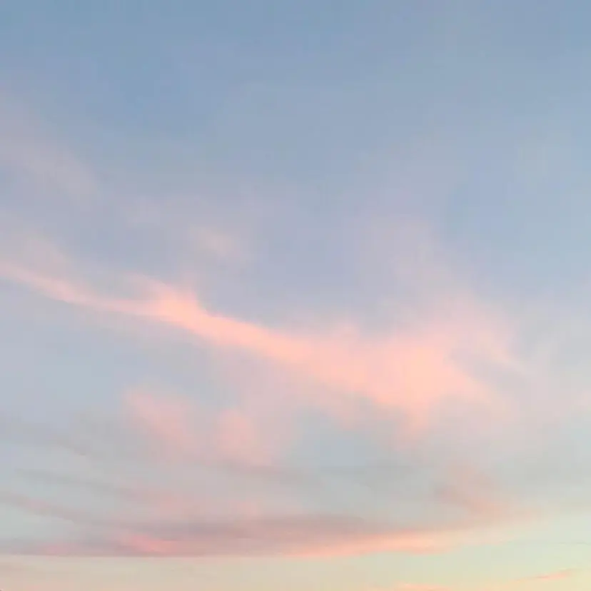 yume. COA GINZAの掲載