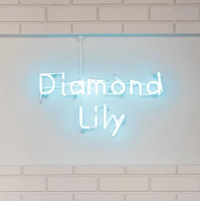 みなみ/ブリーチ/ ダイアモンドリリーの掲載