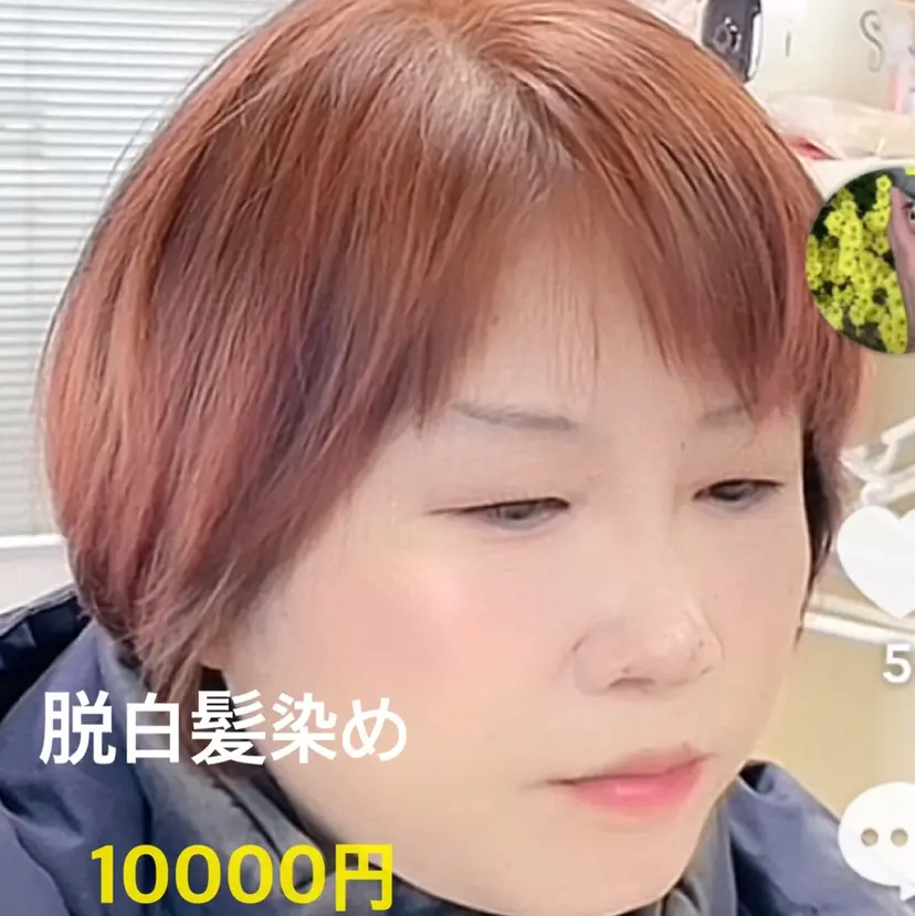 竹内 秀美の掲載