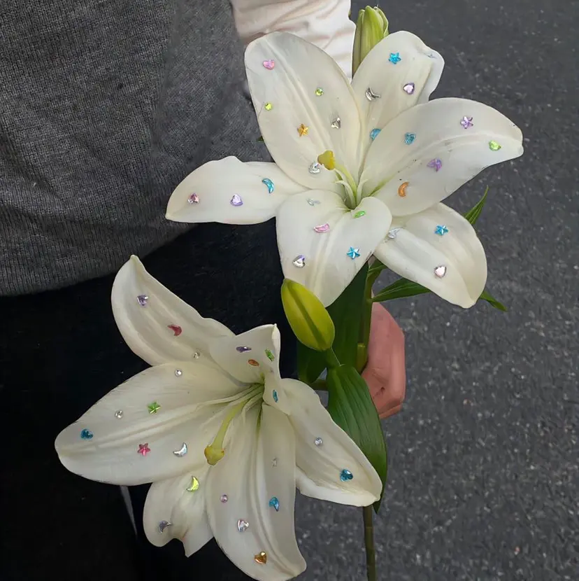 AISA viewNAGOYAの掲載