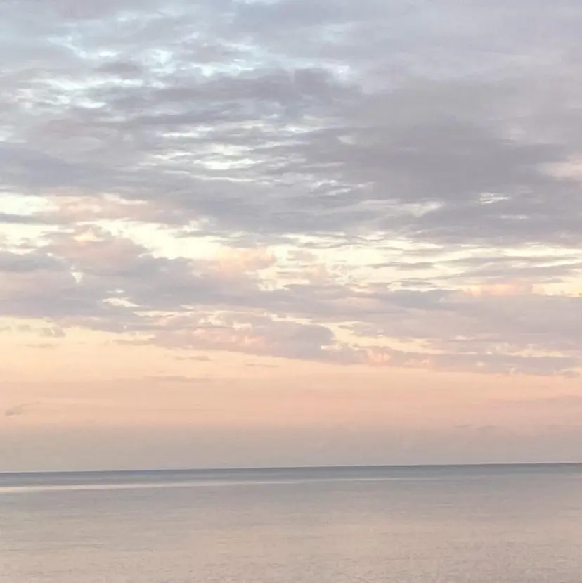 yamamoto saraの掲載