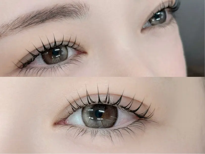 橋本 朋佳の掲載