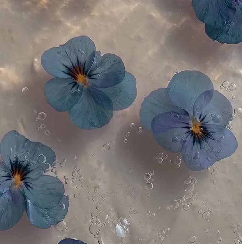 杉浦 悠月の掲載