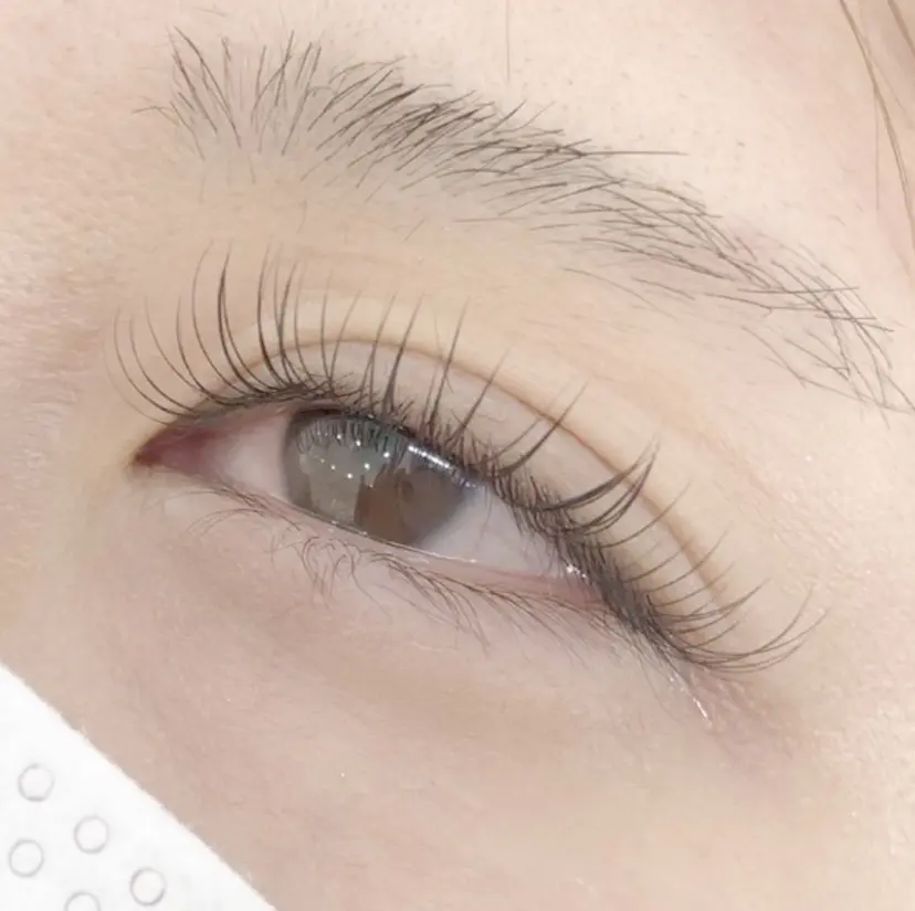 Matsumura Mの掲載