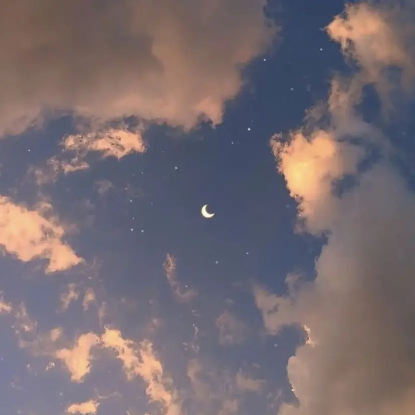 anello cocoの掲載