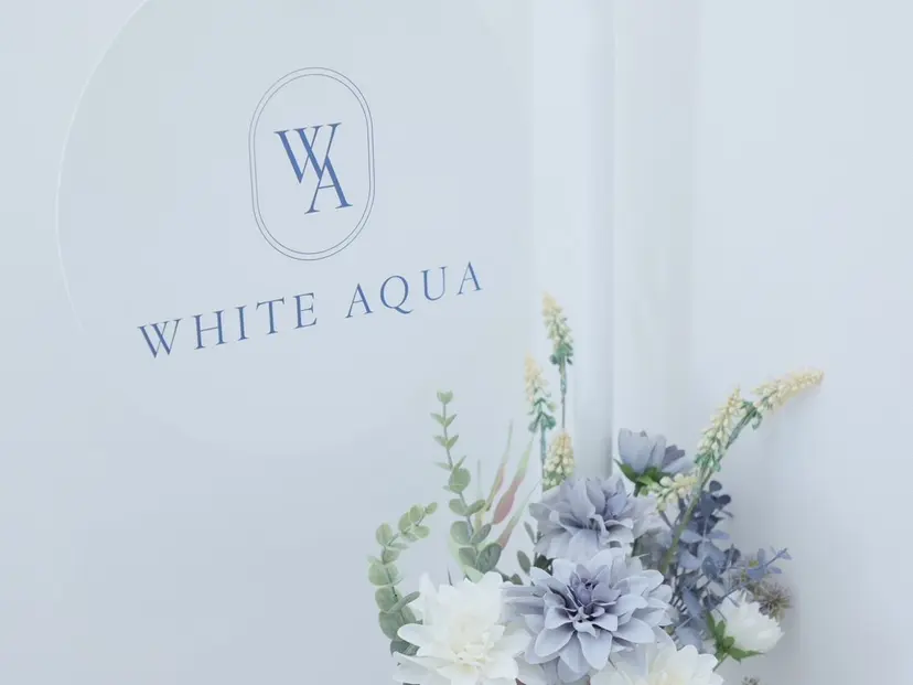 ホワイトアクア 鳳店の掲載