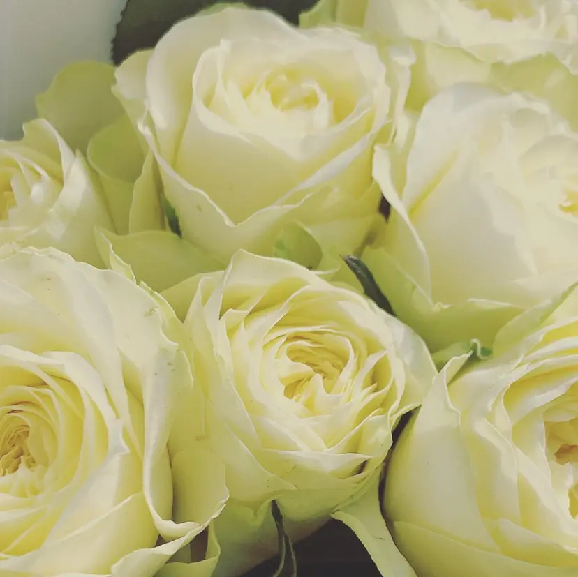 塩澤 利恵の掲載