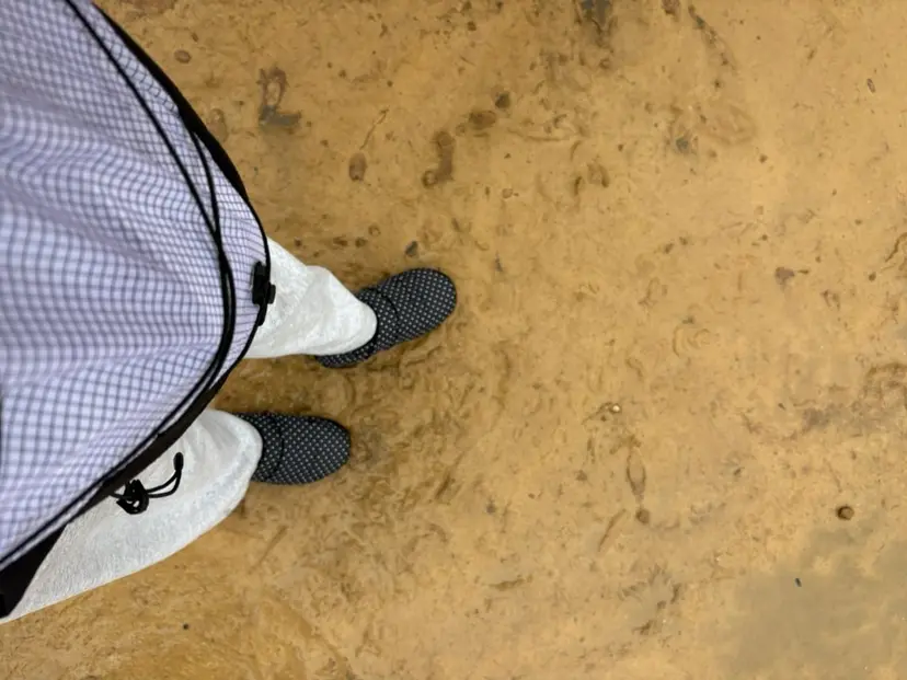 Kanno Hikaru☆彡の掲載