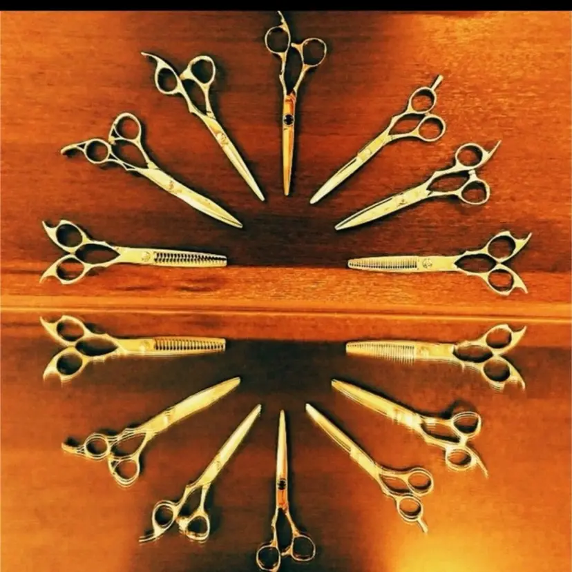 石川 龍也の掲載