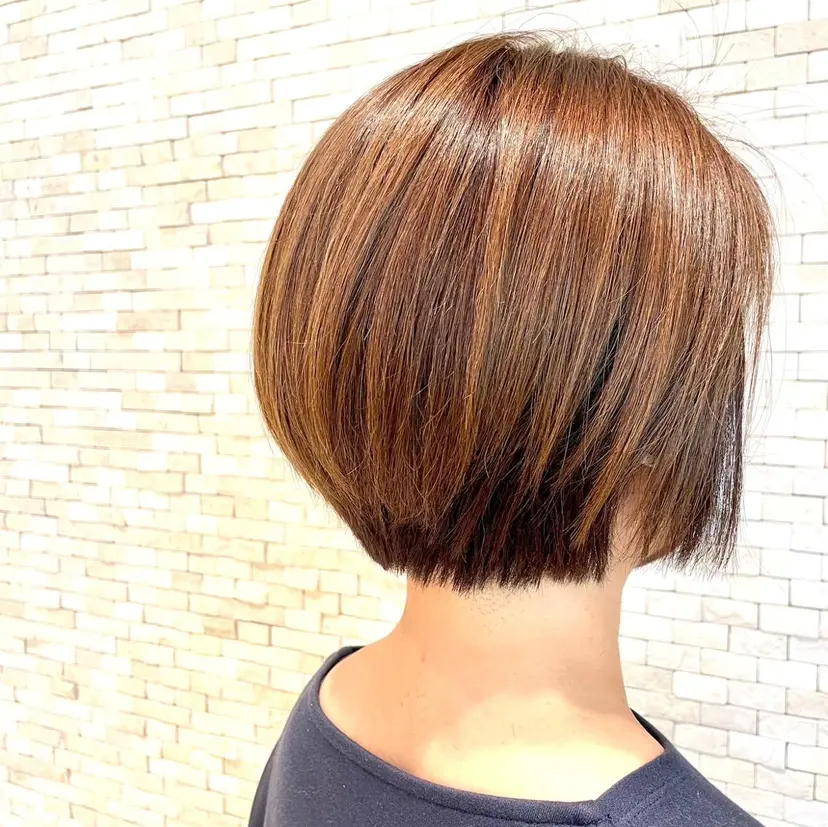 鈴木 美咲の掲載