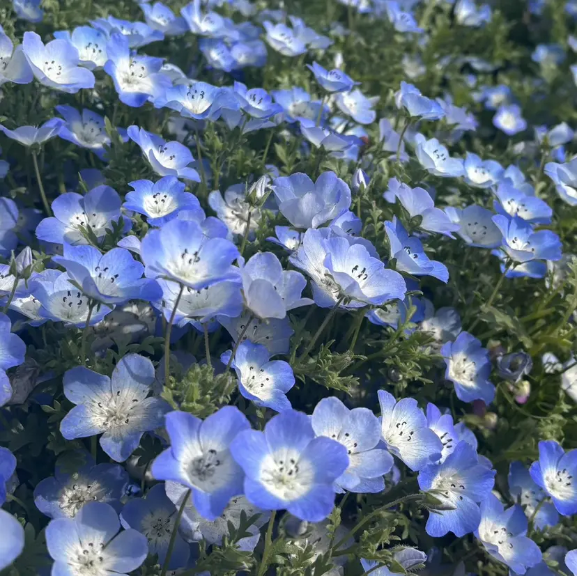 haruka 🌨️の掲載