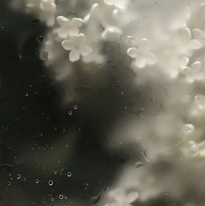 milla 🌼saitou🌼の掲載