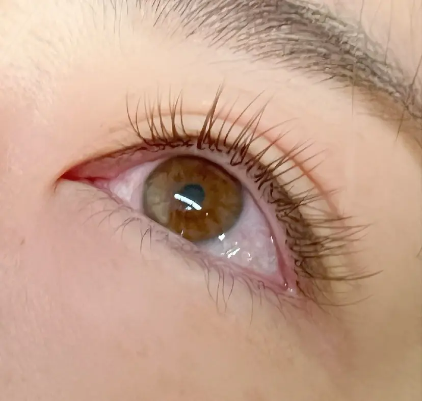 scintiler 🫧の掲載