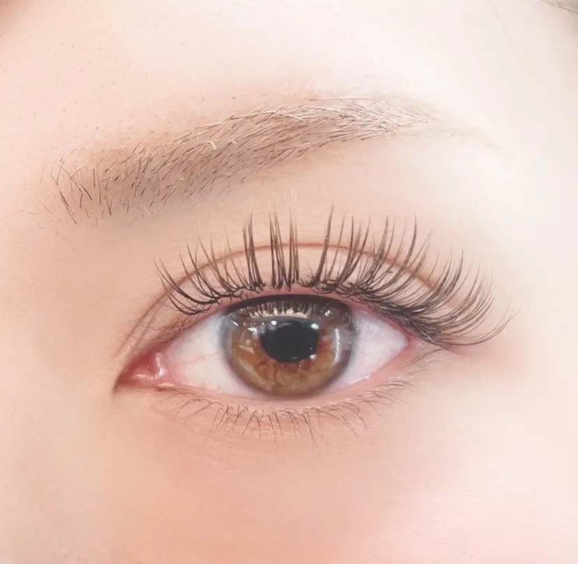 sugar コヤマの掲載