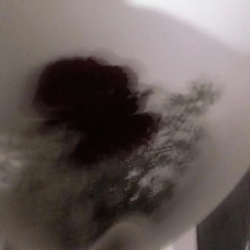 une fleur RISAの掲載