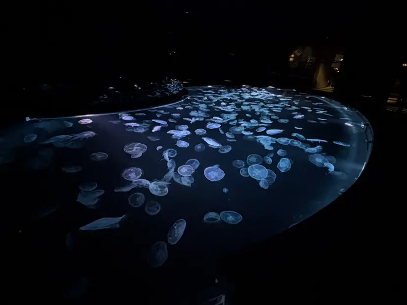 三嶋 陽友の掲載