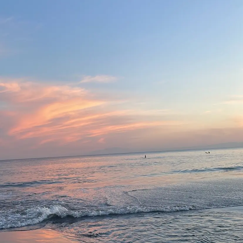 太田 千尋の掲載