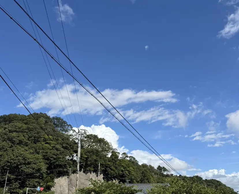 ayuka (ﾐ･｡･ﾐ)♪の掲載