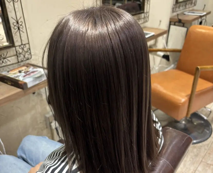 綾 【あや】の掲載