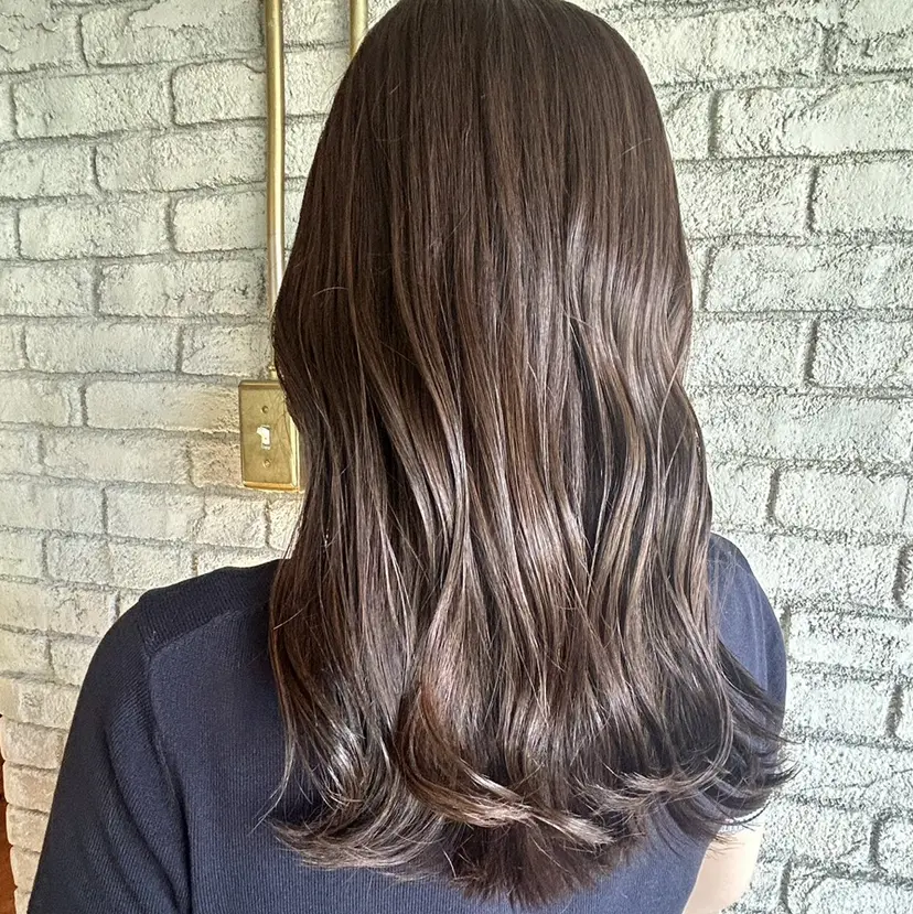 はらだ まおの掲載