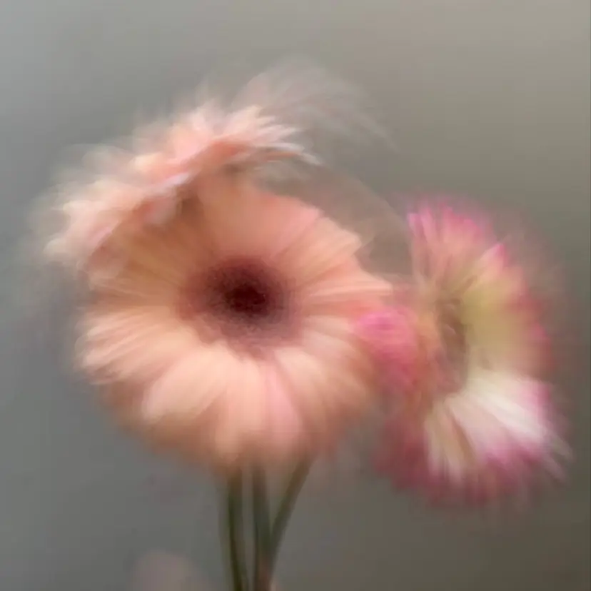 可愛いを仕込む🩰 透明感ヘア／海琴の掲載