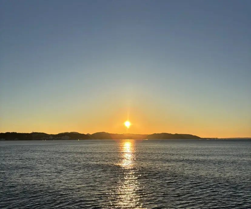 髙橋 結友の掲載