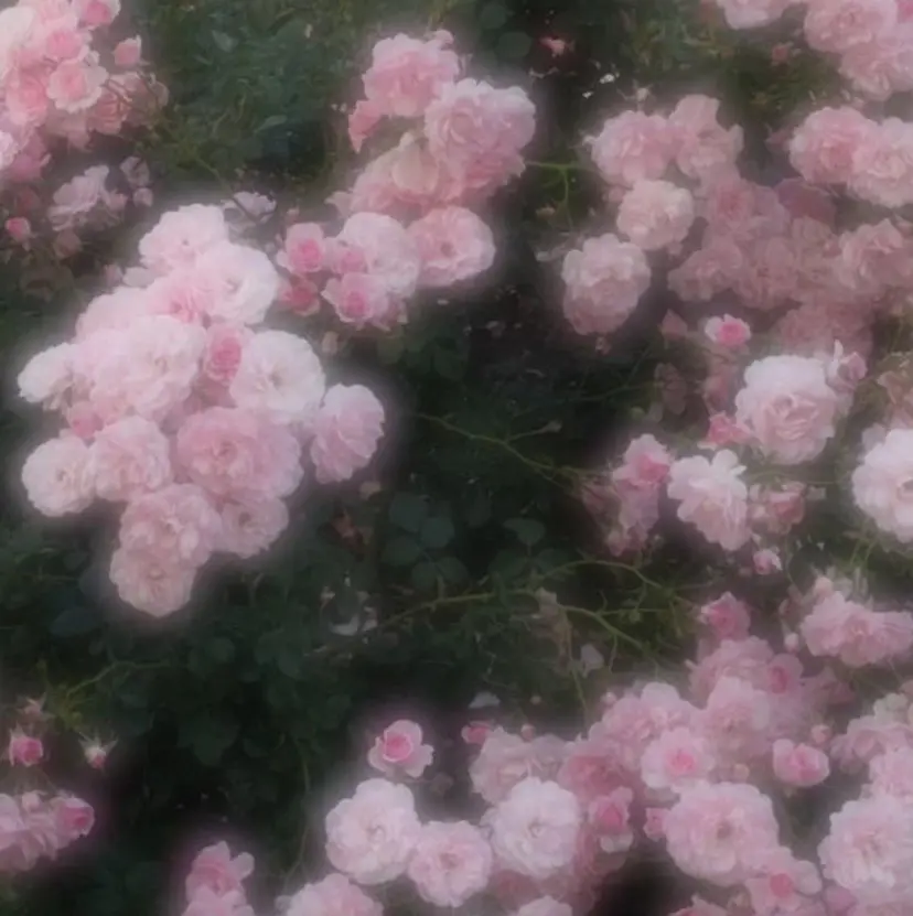 岩佐 祐実の掲載