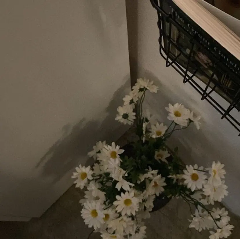 CREAR Arareの掲載