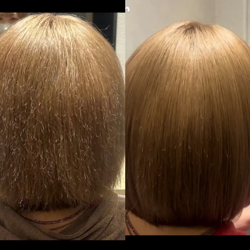 山本 大成の掲載